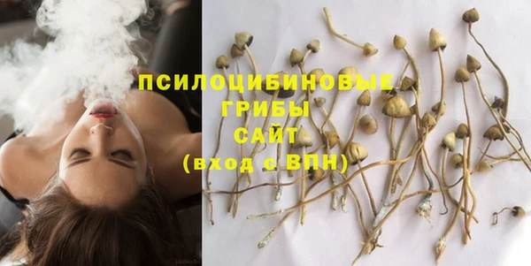 прущая мука Арсеньев