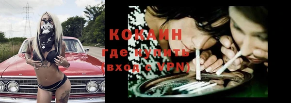 прущая мука Арсеньев