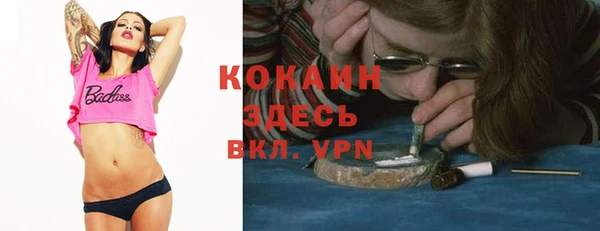 прущая мука Арсеньев