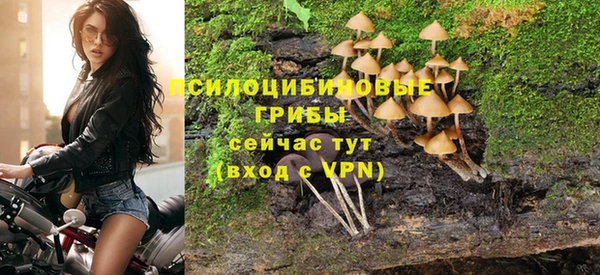 прущая мука Арсеньев
