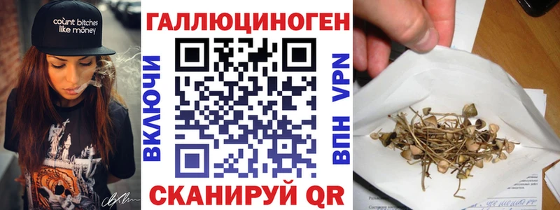 Галлюциногенные грибы прущие грибы Купить Зима