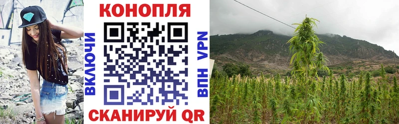 Купить где  Зима  Шишки марихуана конопля 